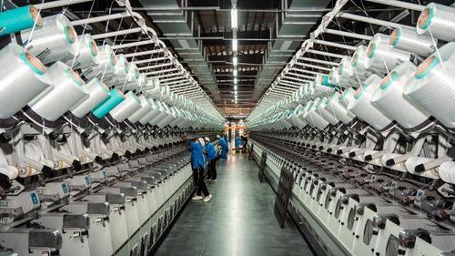 أخبار الشركة الأخيرة عن الاختلافات بين ألياف القطن والبوليستر: تحليل احترافي متعمق