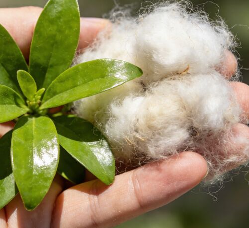 أخبار الشركة الأخيرة عن ألياف مجوفة باللونين الأبيض والأسود: الخيار الأمثل للتصنيع النسيجي والصناعي