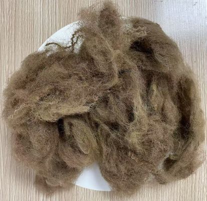 سعر جيد ألياف بوليستر معاد تدويرها منخفضة الاستطالة 25D 65mm لون جملي غامق الانترنت