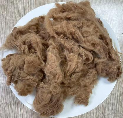 سعر جيد ألياف البوليستر المعاد تدويرها 1.5D 38mm الجمل الخفيف الانترنت