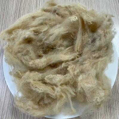 سعر جيد ألياف البوليستر المعاد تدويرها 6D بطول 51 مم بلون بيج عالي المتانة الانترنت