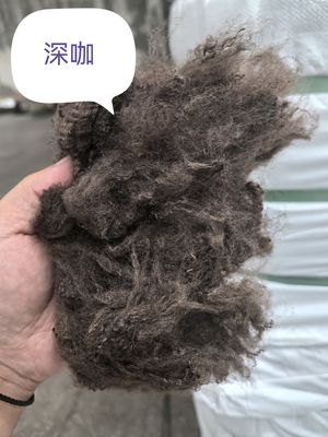 سعر جيد القهوة الداكنة 3D 51 ملم الانترنت