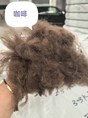 سعر جيد ألياف البوليستر المعاد تدويرها 3D 51mm غير ملموسة الانترنت