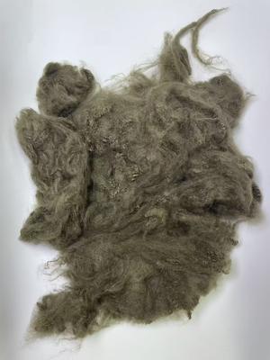سعر جيد 1.5D Recycled Polyester Staple Fiber with 255-265℃ Melting Point and 32mm-102mm Cut Length for High Durability الانترنت