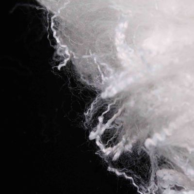 سعر جيد نسيج البوليستر الأبيض الألياف الرقمية الاصطناعية 51mm 180°C للاستخدام الداخلي للسيارات الانترنت