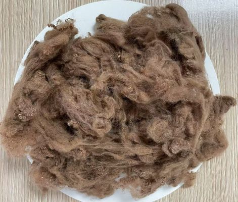 سعر جيد ألياف البوليستر المعاد تدويرها الأساسية 2.5D 51mm أصفر قهوة مقاومة عالية للتجاعيد الانترنت