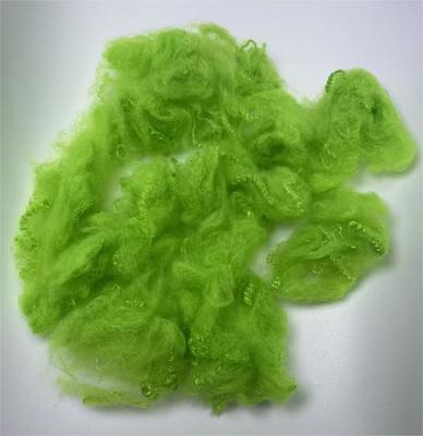 سعر جيد Lightweight Recycled Polyester Staple Fiber with Good Chemical Resistance and Qiuxiang Green Color الانترنت