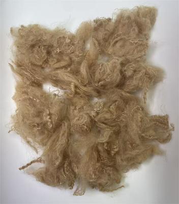 سعر جيد Recycled Polyester Staple Fiber with 38-64mm Fiber Cut Length High Tear Resistance and 0.4% Moisture Regain الانترنت