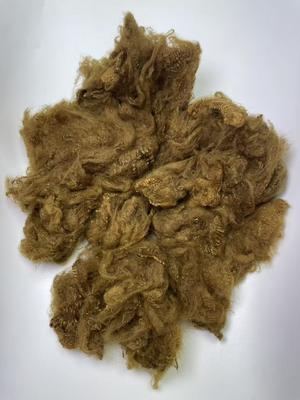 سعر جيد Recycled Polyester Staple Fiber 1.5D Yellow Brown with 0.2% Oil Content for High Durability الانترنت